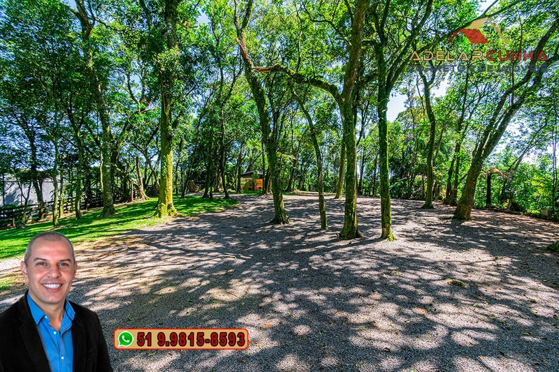 À VENDA: Sítio de 4 hectares em Serra Grande - RS: 39ª foto da galeria de imagens do imóvel