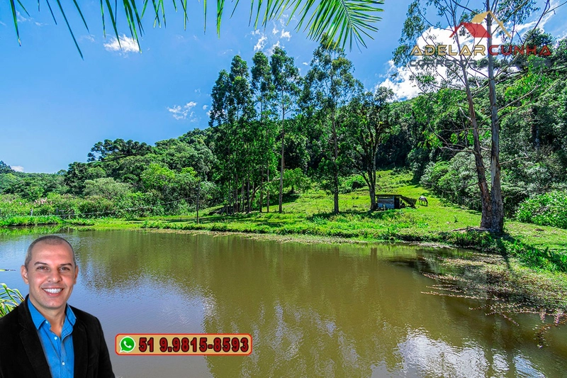 Chácara com 7.000 metros quadrados à VENDA em Serra Grande - RS: 18ª foto da galeria de imagens do imóvel