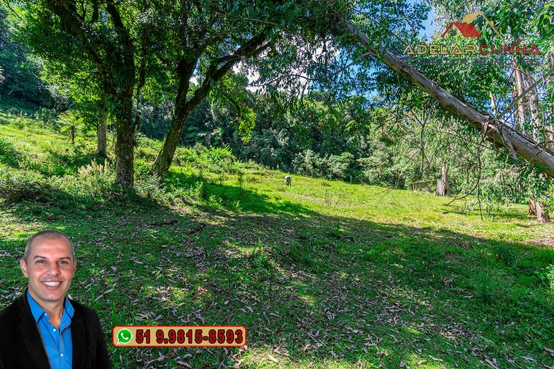 Chácara com 7.000 metros quadrados à VENDA em Serra Grande - RS: 27ª foto da galeria de imagens do imóvel