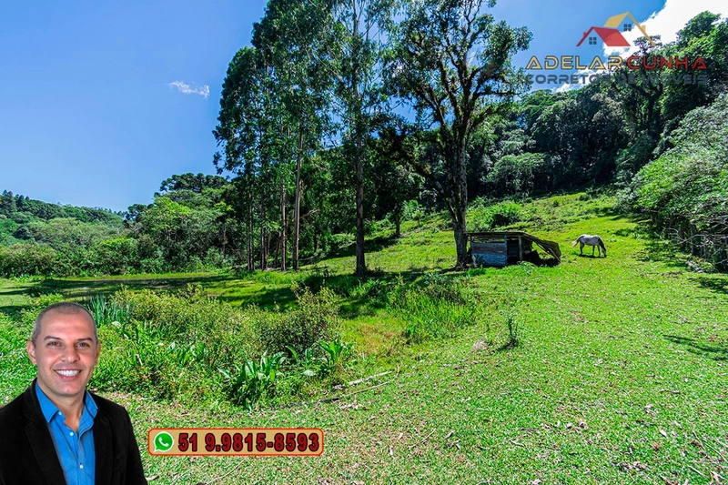 Chácara com 7.000 metros quadrados à VENDA em Serra Grande - RS: 29ª foto da galeria de imagens do imóvel