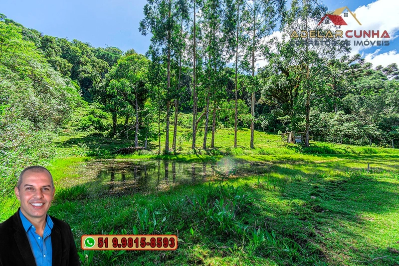 Chácara com 7.000 metros quadrados à VENDA em Serra Grande - RS: 28ª foto da galeria de imagens do imóvel