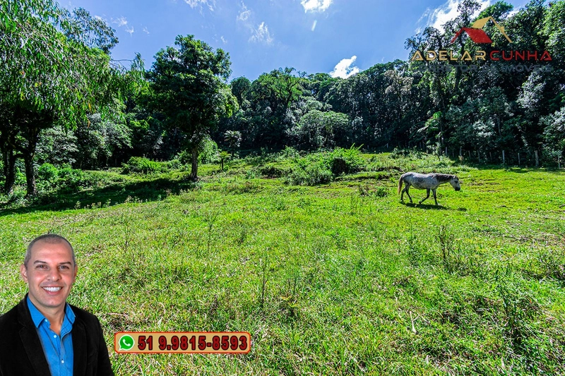 Chácara com 7.000 metros quadrados à VENDA em Serra Grande - RS: 30ª foto da galeria de imagens do imóvel