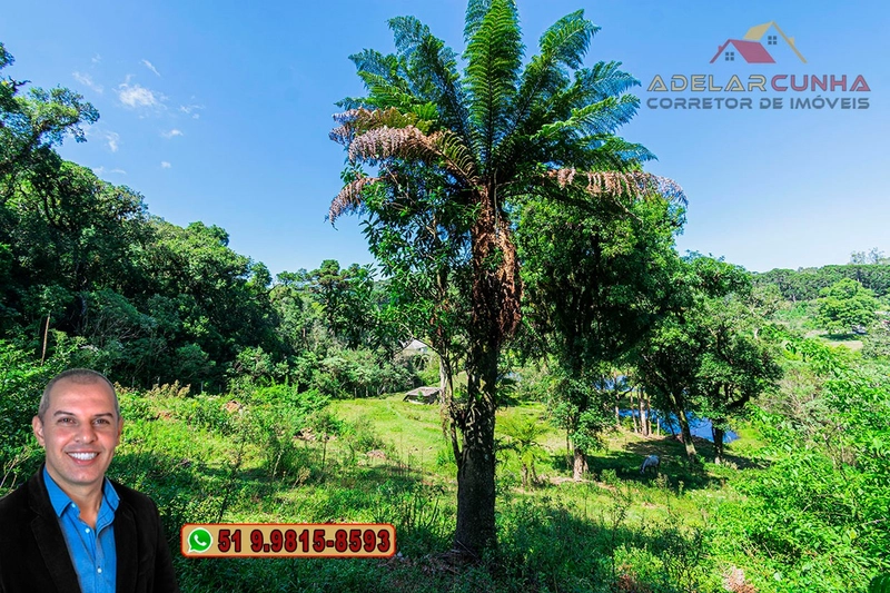 Chácara com 7.000 metros quadrados à VENDA em Serra Grande - RS: 32ª foto da galeria de imagens do imóvel
