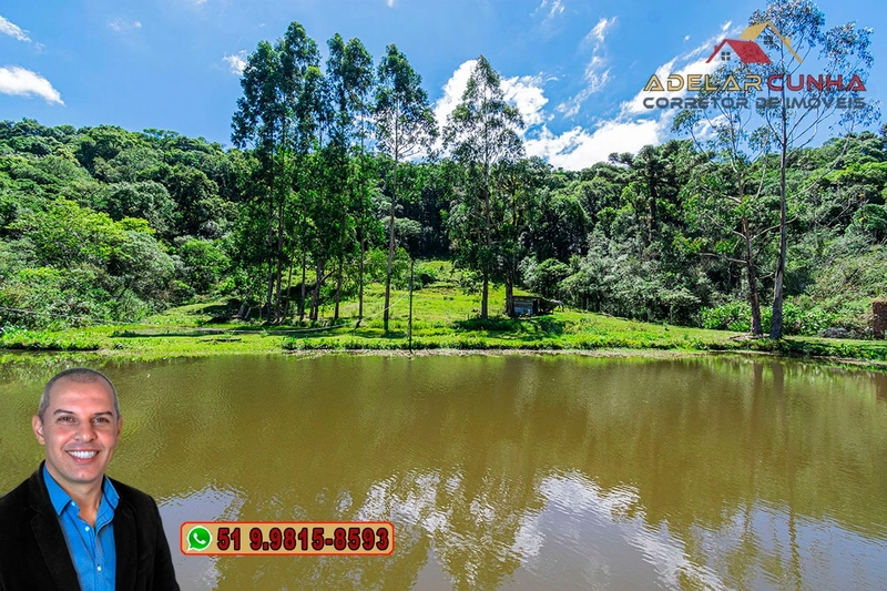 Chácara com 7.000 metros quadrados à VENDA em Serra Grande - RS: 16ª foto da galeria de imagens do imóvel