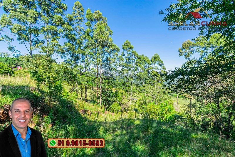 Chácara de 3 hectares à VENDA em Igrejinha - RS: 33ª foto da galeria de imagens do imóvel