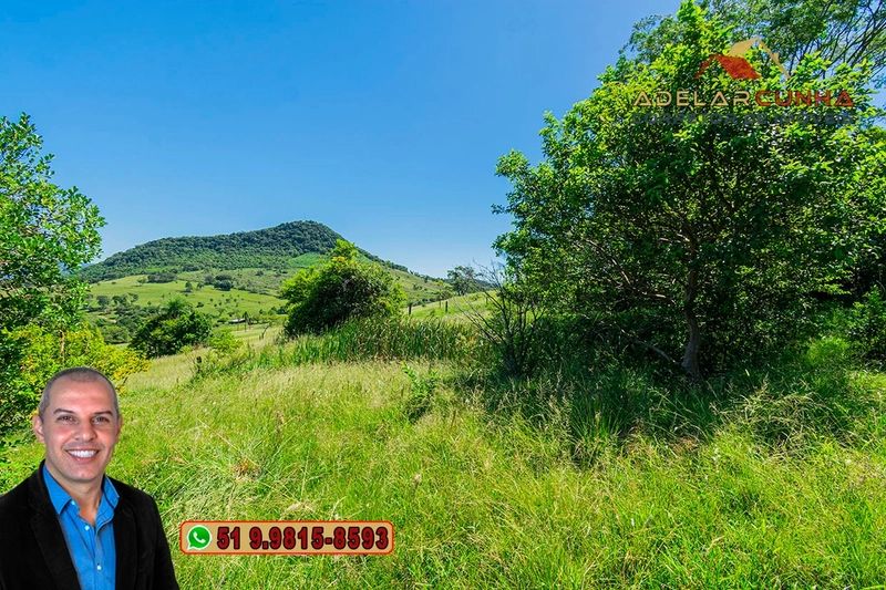 Chácara de 3 hectares à VENDA em Igrejinha - RS: 44ª foto da galeria de imagens do imóvel