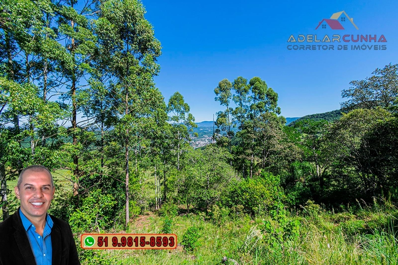 Chácara de 3 hectares à VENDA em Igrejinha - RS: 32ª foto da galeria de imagens do imóvel