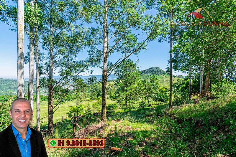 Chácara de 3 hectares à VENDA em Igrejinha - RS: 34ª foto da galeria de imagens do imóvel