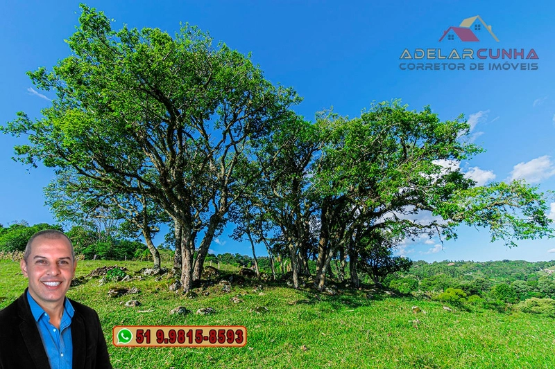Chácara de 2.3 hectares à VENDA em Igrejinha - RS: 42ª foto da galeria de imagens do imóvel
