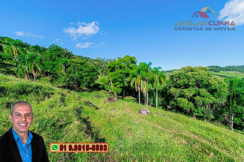 Chácara de 2.3 hectares à VENDA em Igrejinha - RS: 13ª foto da galeria de imagens do imóvel