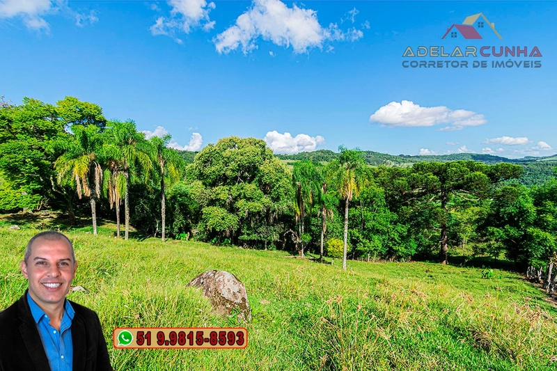 Chácara de 2.3 hectares à VENDA em Igrejinha - RS: 17ª foto da galeria de imagens do imóvel