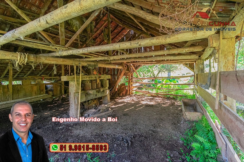 Chácara de 2.3 hectares à VENDA em Igrejinha - RS: 5ª foto da galeria de imagens do imóvel