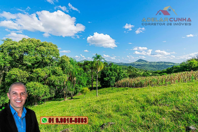 Chácara de 2.3 hectares à VENDA em Igrejinha - RS: 16ª foto da galeria de imagens do imóvel
