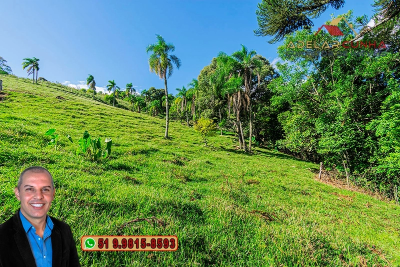 Chácara de 2.3 hectares à VENDA em Igrejinha - RS: 15ª foto da galeria de imagens do imóvel