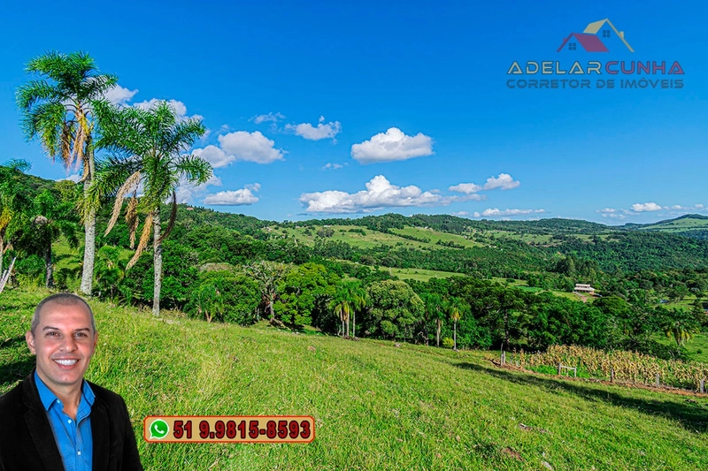 Chácara de 2.3 hectares à VENDA em Igrejinha - RS: 35ª foto da galeria de imagens do imóvel