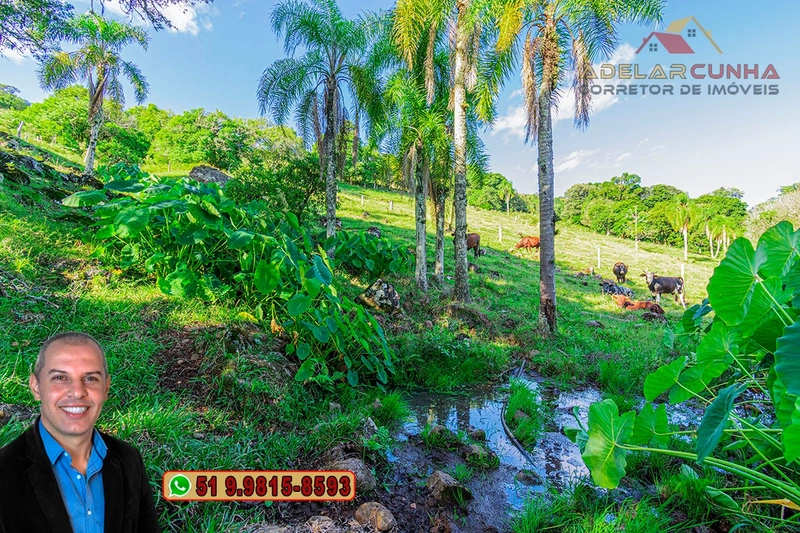 Chácara de 2.3 hectares à VENDA em Igrejinha - RS: 21ª foto da galeria de imagens do imóvel