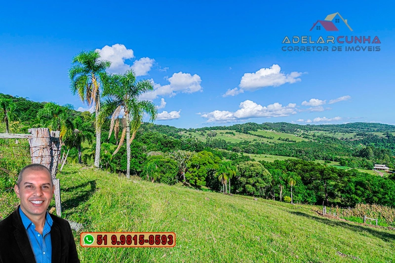 Chácara de 2.3 hectares à VENDA em Igrejinha - RS: 34ª foto da galeria de imagens do imóvel