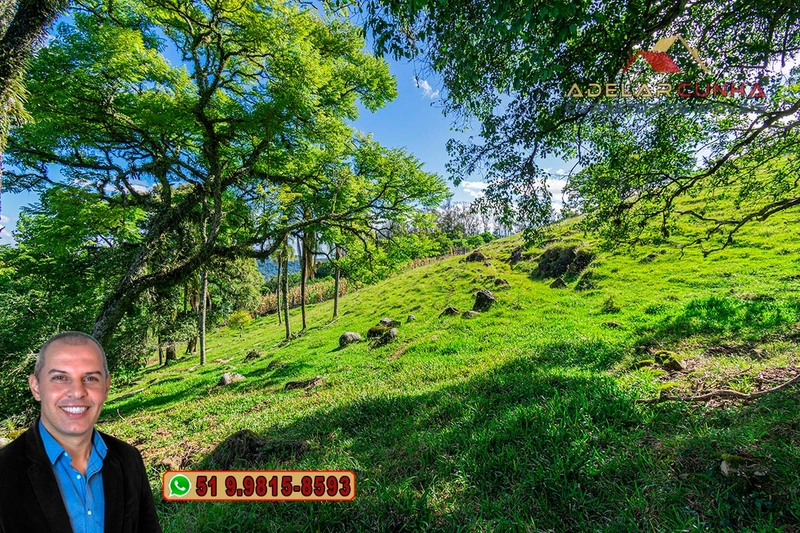 Chácara de 2.3 hectares à VENDA em Igrejinha - RS: 10ª foto da galeria de imagens do imóvel