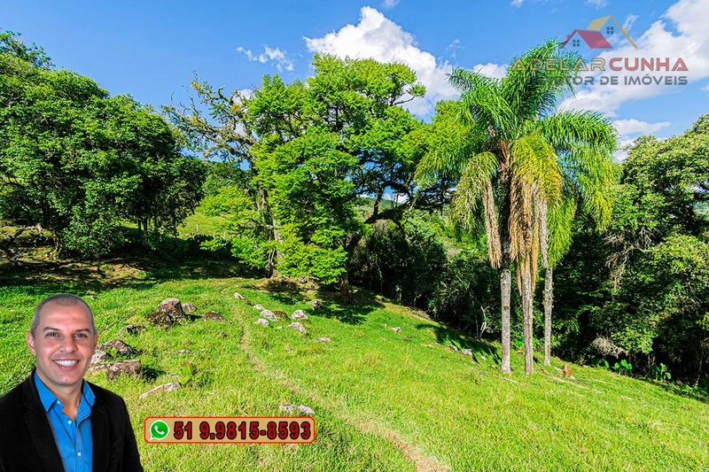 Chácara de 2.3 hectares à VENDA em Igrejinha - RS: 12ª foto da galeria de imagens do imóvel