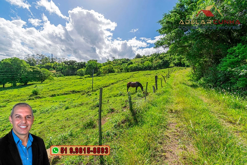 Chácara de 2.3 hectares à VENDA em Igrejinha - RS: 3ª foto da galeria de imagens do imóvel