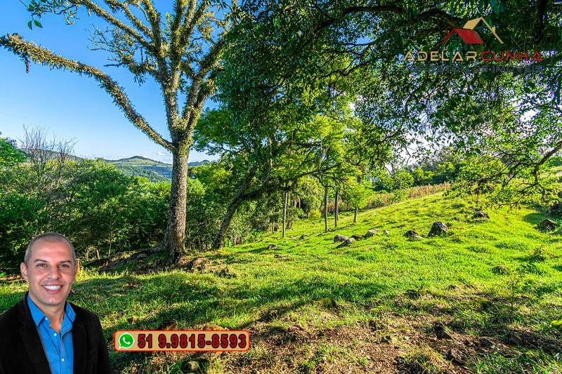 Chácara de 2.3 hectares à VENDA em Igrejinha - RS: 9ª foto da galeria de imagens do imóvel
