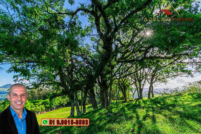 Chácara de 2.3 hectares à VENDA em Igrejinha - RS: 41ª foto da galeria de imagens do imóvel