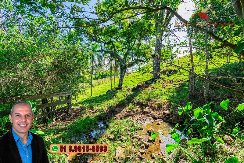 Chácara de 2.3 hectares à VENDA em Igrejinha - RS: 8ª foto da galeria de imagens do imóvel