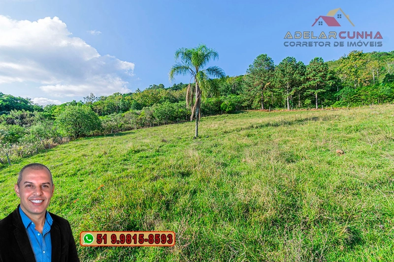 Chácara de 2.3 hectares à VENDA em Três Coroas - RS: 13ª foto da galeria de imagens do imóvel