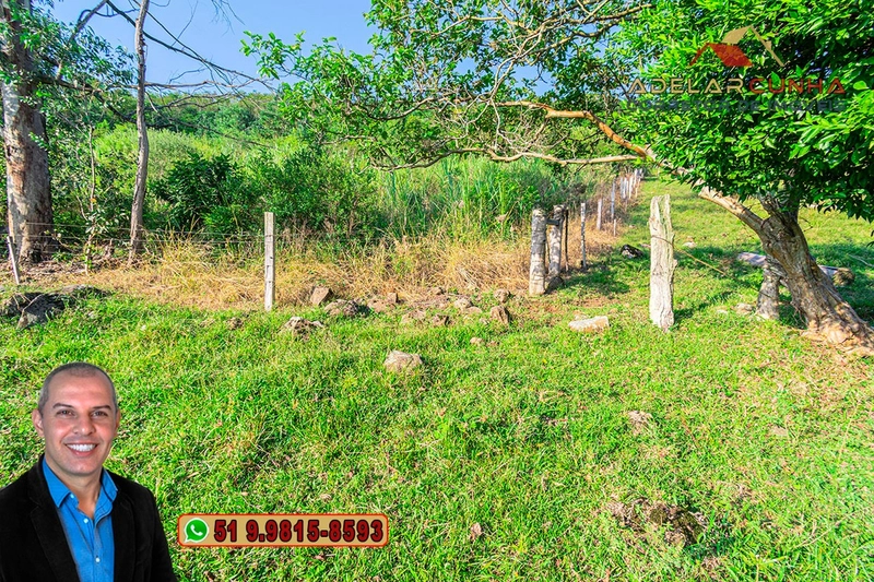 Chácara de 2.3 hectares à VENDA em Três Coroas - RS: 5ª foto da galeria de imagens do imóvel