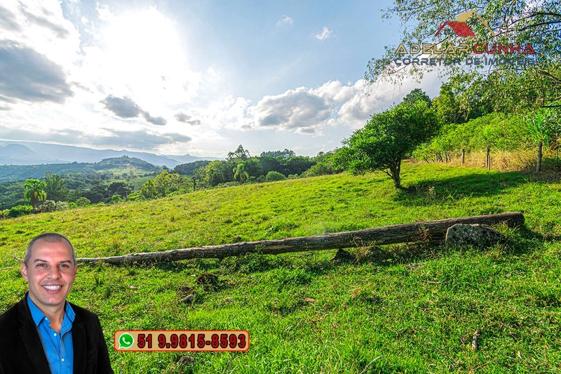 Chácara de 2.3 hectares à VENDA em Três Coroas - RS: 6ª foto da galeria de imagens do imóvel