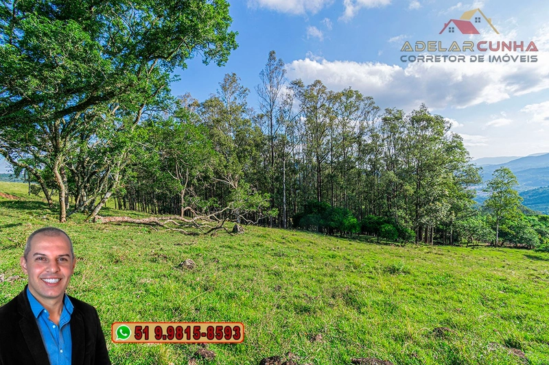 Chácara de 2.3 hectares à VENDA em Três Coroas - RS: 4ª foto da galeria de imagens do imóvel
