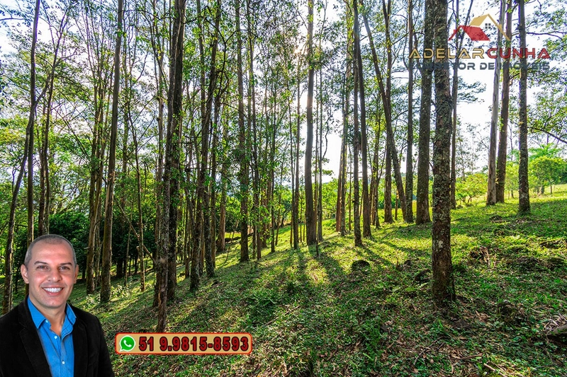 Chácara de 2.3 hectares à VENDA em Três Coroas - RS: 15ª foto da galeria de imagens do imóvel
