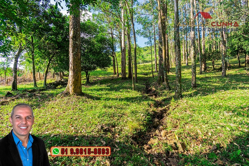Chácara de 2.3 hectares à VENDA em Três Coroas - RS: 17ª foto da galeria de imagens do imóvel