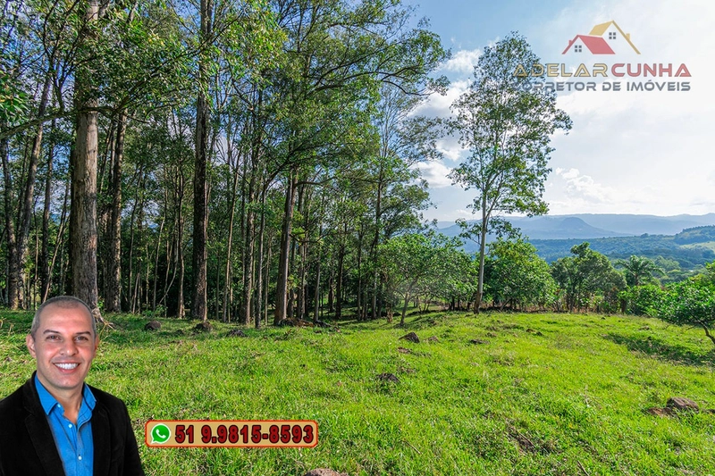Chácara de 2.3 hectares à VENDA em Três Coroas - RS: 14ª foto da galeria de imagens do imóvel