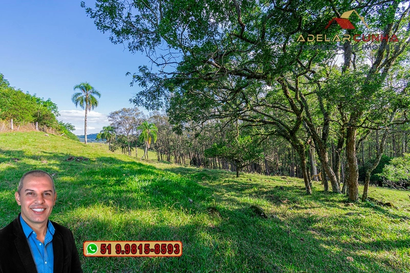 Chácara de 2.3 hectares à VENDA em Três Coroas - RS: 8ª foto da galeria de imagens do imóvel
