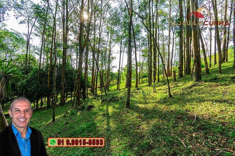 Chácara de 2.3 hectares à VENDA em Três Coroas - RS: 16ª foto da galeria de imagens do imóvel