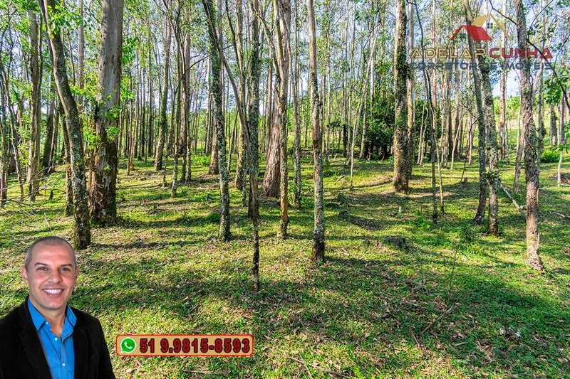 Chácara de 2.3 hectares à VENDA em Três Coroas - RS: 18ª foto da galeria de imagens do imóvel