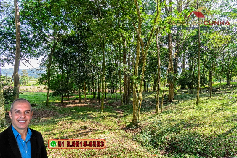 Chácara de 2.3 hectares à VENDA em Três Coroas - RS: 20ª foto da galeria de imagens do imóvel