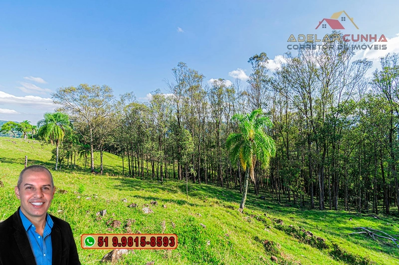 Chácara de 2.3 hectares à VENDA em Três Coroas - RS: 13ª foto da galeria de imagens do imóvel