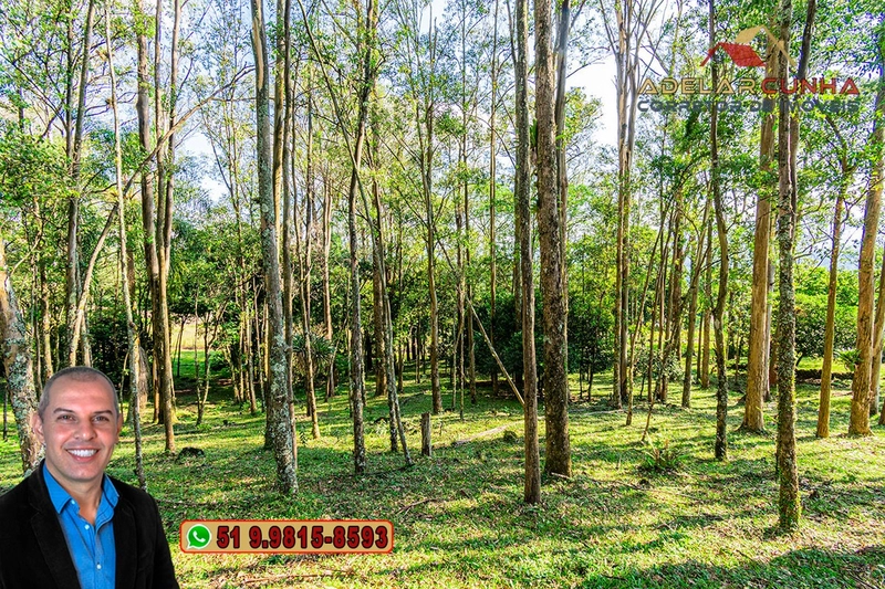 Chácara de 2.3 hectares à VENDA em Três Coroas - RS: 16ª foto da galeria de imagens do imóvel