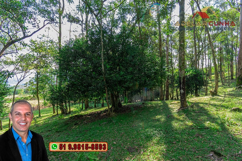 Chácara de 2.3 hectares à VENDA em Três Coroas - RS: 19ª foto da galeria de imagens do imóvel