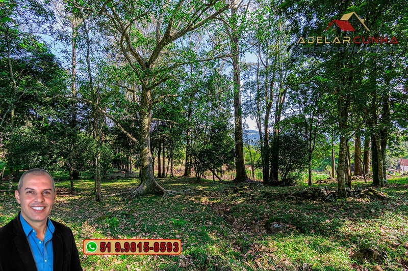 Chácara de 2.3 hectares à VENDA em Três Coroas - RS: 21ª foto da galeria de imagens do imóvel