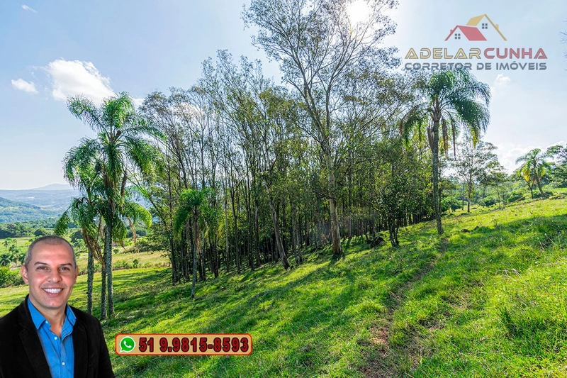 Chácara de 2.3 hectares à VENDA em Três Coroas - RS: 12ª foto da galeria de imagens do imóvel