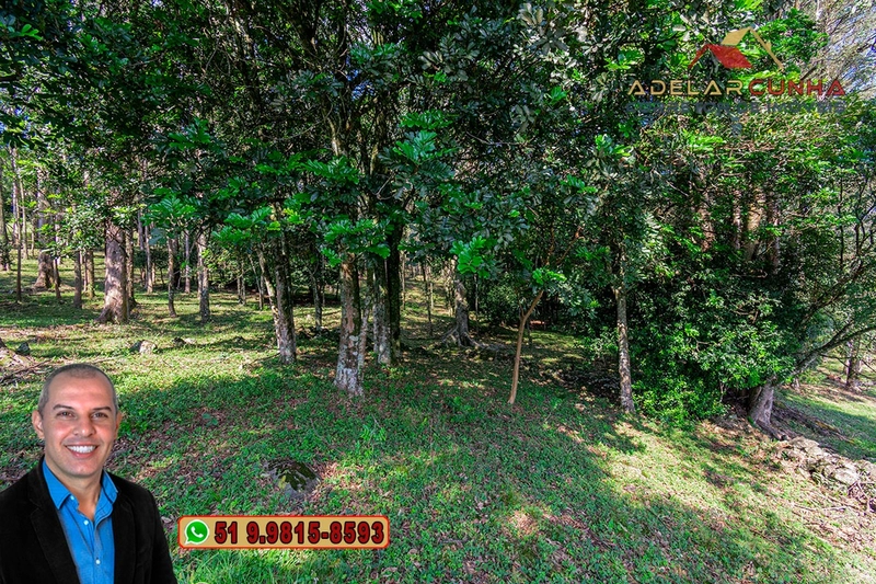 Chácara de 2.3 hectares à VENDA em Três Coroas - RS: 22ª foto da galeria de imagens do imóvel