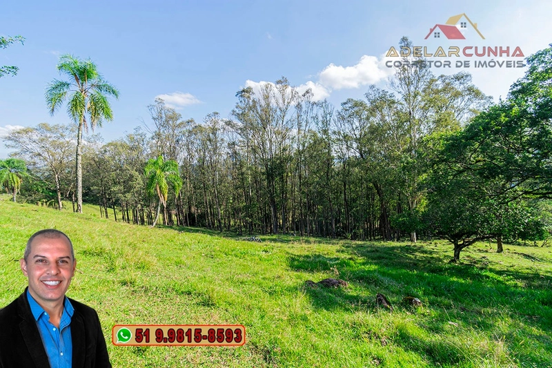 Chácara de 2.3 hectares à VENDA em Três Coroas - RS: 14ª foto da galeria de imagens do imóvel