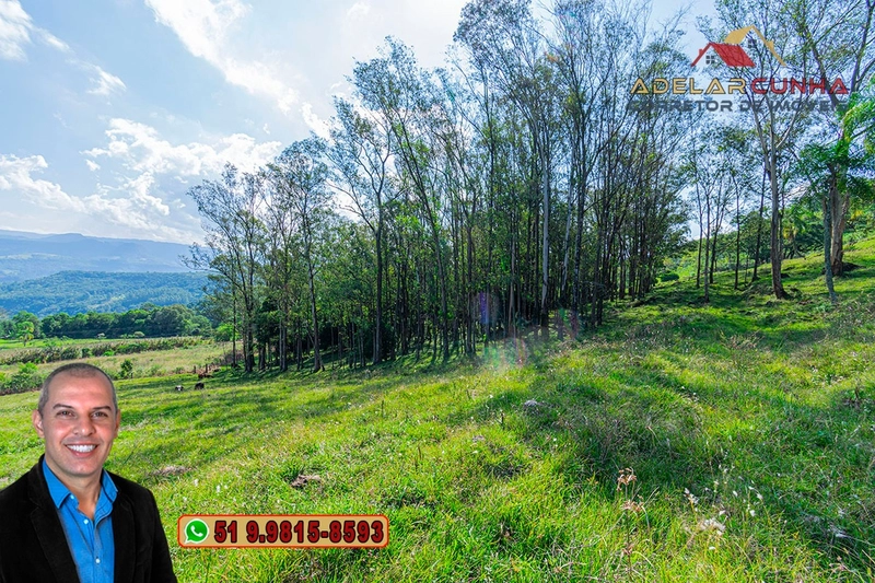 Chácara de 2.3 hectares à VENDA em Três Coroas - RS: 11ª foto da galeria de imagens do imóvel