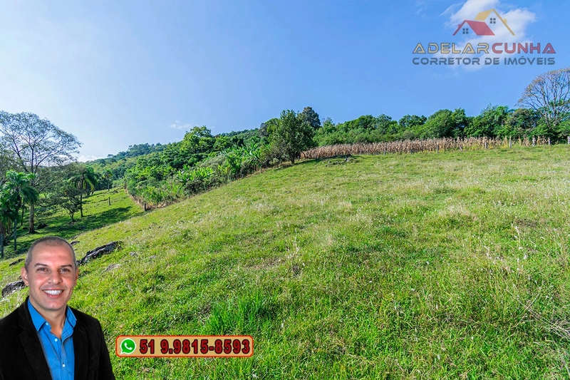 Chácara de 2.3 hectares à VENDA em Três Coroas - RS: 6ª foto da galeria de imagens do imóvel