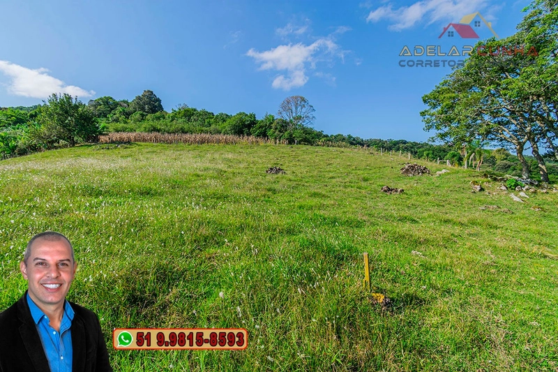 Chácara de 2.3 hectares à VENDA em Três Coroas - RS: 5ª foto da galeria de imagens do imóvel