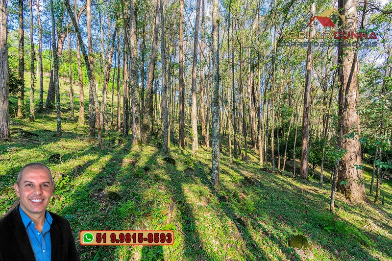 Chácara de 2.3 hectares à VENDA em Três Coroas - RS: 17ª foto da galeria de imagens do imóvel