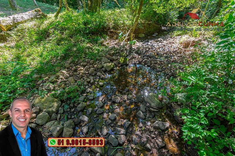 Chácara de 2.3 hectares à VENDA em Taquara - RS: 72ª foto da galeria de imagens do imóvel